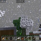 boxtree