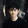 xiongweisherwin