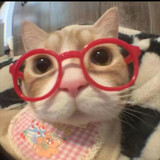 paocai___memejuchang