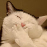 ชาวแอสกราด