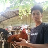 jhanskie tv