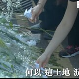 zhengnengliangbaodao