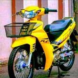 Idol việt 2k4