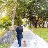 xiaobeifuzhupai