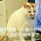 xiaoniaobuaishuaya