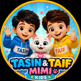 Tasin Taif