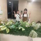 Thuyycheng