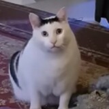 hanpiyoudianhan