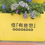 dingjikexuezhuanjia