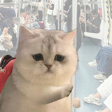 ___memedeya
