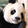 -xiongxiongbuzhidao