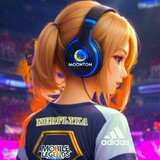 NERFLYKA