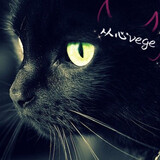 congxinvege
