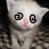 linzaibuchiyu