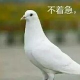 lanyuaaaa