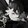 ゑciel