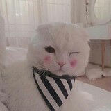 sumiemiemieyou-