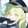 -lingjiang-