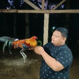 KRDS-gamefarm