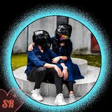 Gmb AVIS Seo