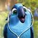 creator avatar