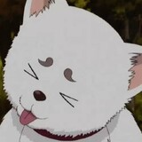 jiuzhong_____