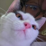 xiaomegexiaoxiaoxiao