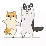 bishiqi
