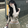 Kitty_Chu9