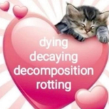 nyancatkiller