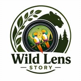 Wild Lens Story