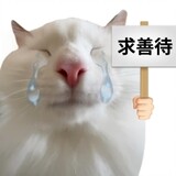 tanshuiinny