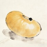 nanbeidehuangdou