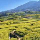 gugululuxiaoji