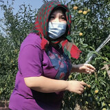 aichideleidenvhaizi