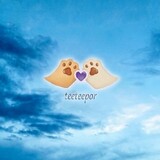 vava_tp