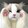 miaowangwuyuzhu
