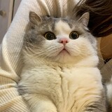 ___zhuzinaxieshi