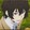 fanfanfanfanfanshu-