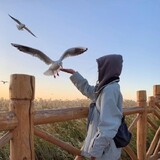 xiaowudeshuyingyin