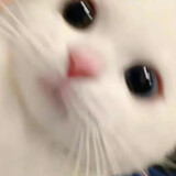 mimiduwei