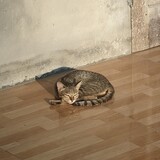 Đức Minh Nguyễn_0653