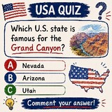 Brain Puzzles