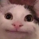 xqyzb