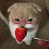 strawbervryi