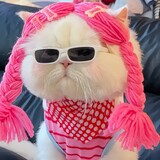 haipiniuyue