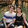 Shin.TV