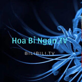 Hoa Bỉ Ngạn.TV