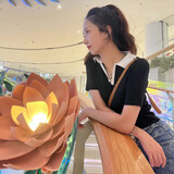 yangxiaoyangaimeishi