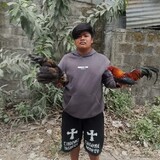 madapdap bantam